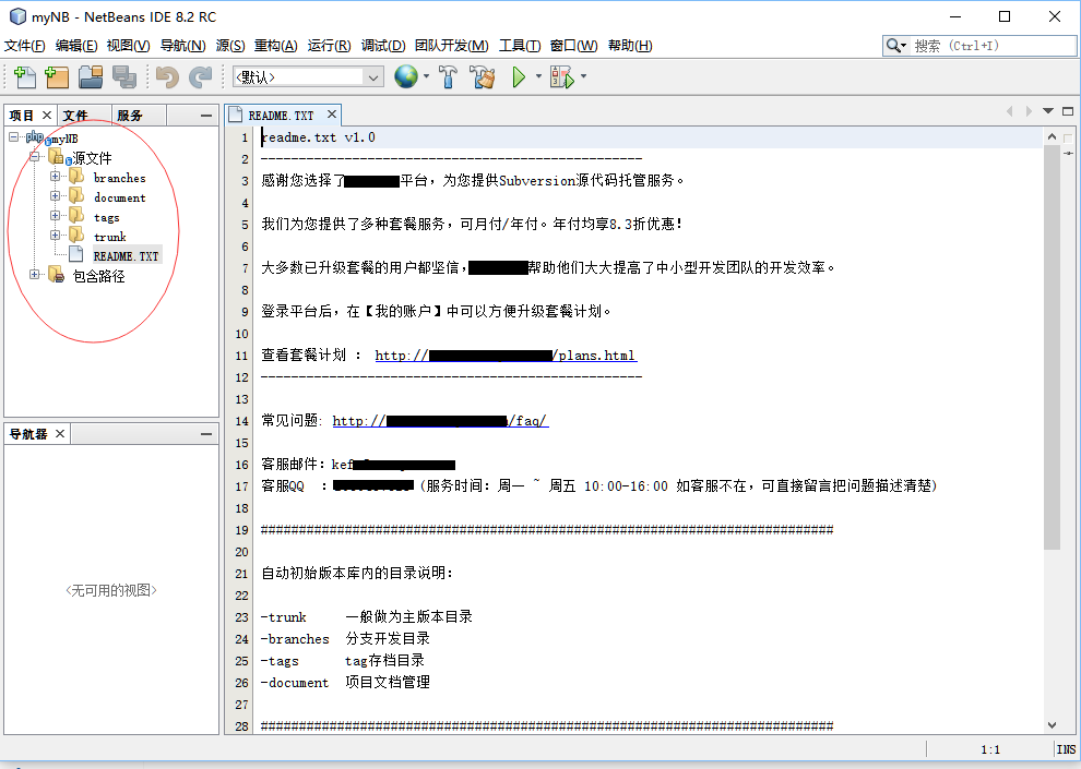 svn检出版本netbeans 07