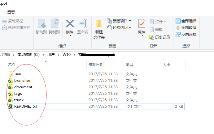 tsvn 检出svn完成 本地目录结构
